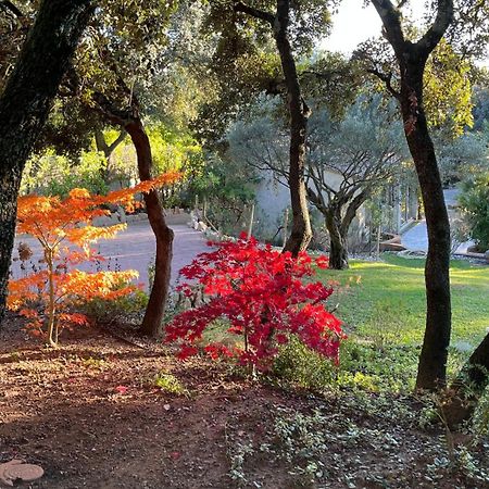피오레크 Santolines En Provence B&B 외부 사진
