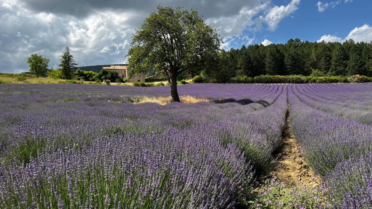 피오레크 Santolines En Provence B&B 외부 사진