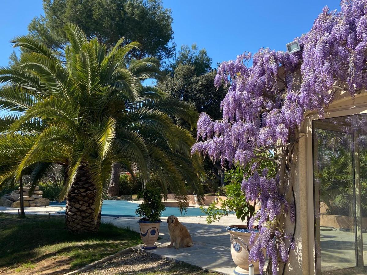 피오레크 Santolines En Provence B&B 외부 사진