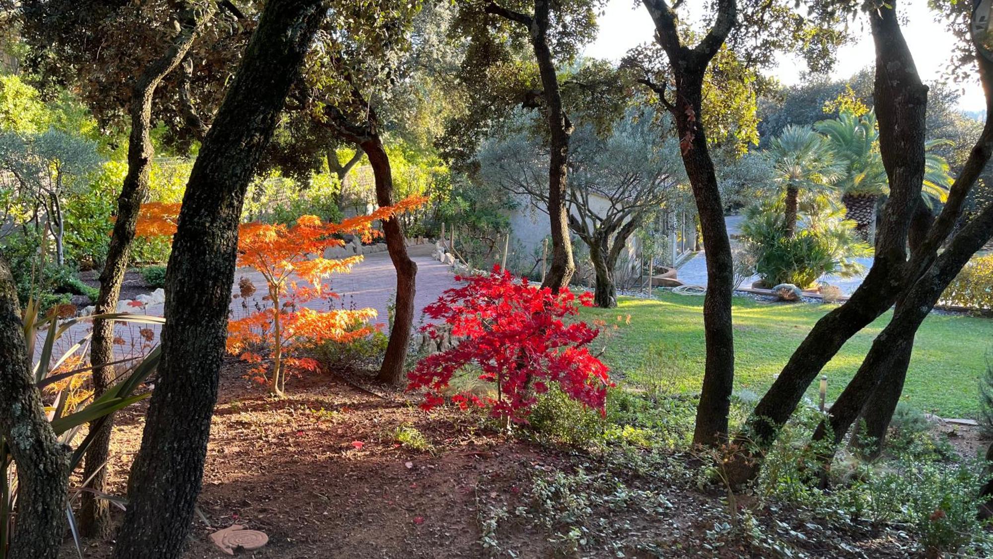 피오레크 Santolines En Provence B&B 외부 사진