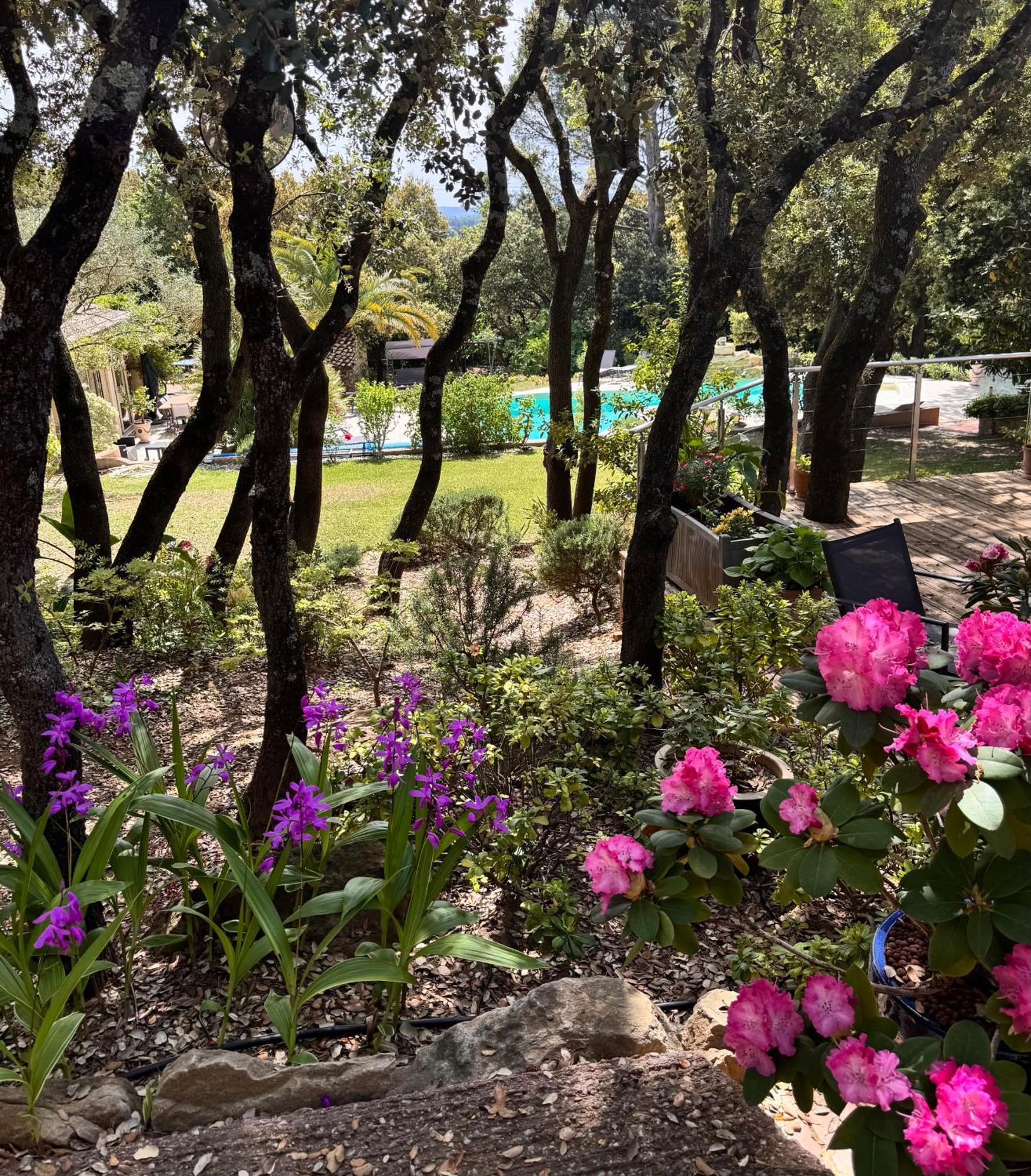 피오레크 Santolines En Provence B&B 외부 사진